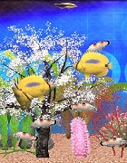 �������Ρ��� online aquarium