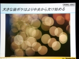 画像ギャラリー No.029のサムネイル画像 / ［CEDEC 2007］写真光学技術を取り込んだレンダリングについて