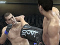 今夜の「RADIO 4Gamer」は，安元洋貴さんと「UFC Undisputed 2010」で激闘を繰り広げます