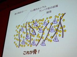 画像ギャラリー No.006のサムネイル画像 / ［CEDEC 2011］ちょっとした工夫でグッとリアルに。「CGと人体解剖学が創る新しい世界　知っておきたい人体製作のツボ」をレポート