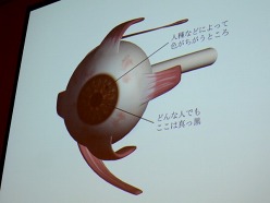 画像ギャラリー No.009のサムネイル画像 / ［CEDEC 2011］ちょっとした工夫でグッとリアルに。「CGと人体解剖学が創る新しい世界　知っておきたい人体製作のツボ」をレポート