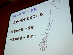 画像ギャラリー No.011のサムネイル画像 / ［CEDEC 2011］ちょっとした工夫でグッとリアルに。「CGと人体解剖学が創る新しい世界　知っておきたい人体製作のツボ」をレポート