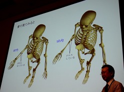 画像ギャラリー No.013のサムネイル画像 / ［CEDEC 2011］ちょっとした工夫でグッとリアルに。「CGと人体解剖学が創る新しい世界　知っておきたい人体製作のツボ」をレポート