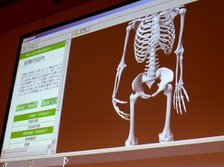 画像ギャラリー No.014のサムネイル画像 / ［CEDEC 2011］ちょっとした工夫でグッとリアルに。「CGと人体解剖学が創る新しい世界　知っておきたい人体製作のツボ」をレポート