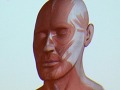 ［CEDEC 2011］ちょっとした工夫でグッとリアルに。「CGと人体解剖学が創る新しい世界　知っておきたい人体製作のツボ」をレポート