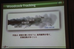 画像ギャラリー No.032のサムネイル画像 / ［CEDEC 2011］モンテカルロ法が拓くCGの可能性，高精度ボリュームレンダリングの新たなアプローチとは