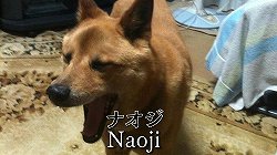 画像ギャラリー No.005のサムネイル画像 / 4Gamerはどこへ向かおうとしているのか。杉田智和さん＆マフィア梶田による新番組「4Gamer TV〜突然！ブッピGAN！〜」の予告編動画をUp