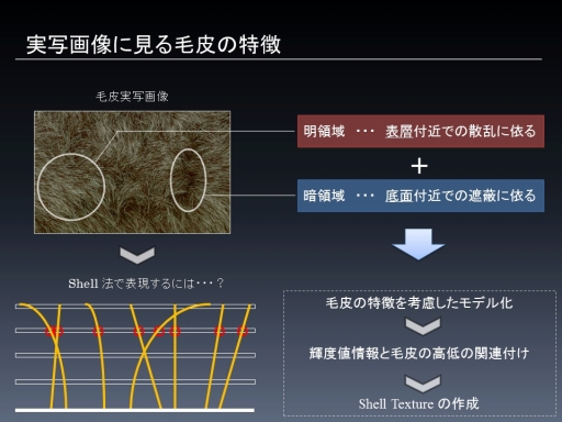 画像ギャラリー No.010のサムネイル画像 / ［CEDEC 2012］毛皮表現用プロシージャルテクスチャ生成技法はモフモフウサギの夢を見るか？　「実写画像を用いたShell Texture自動生成手法」