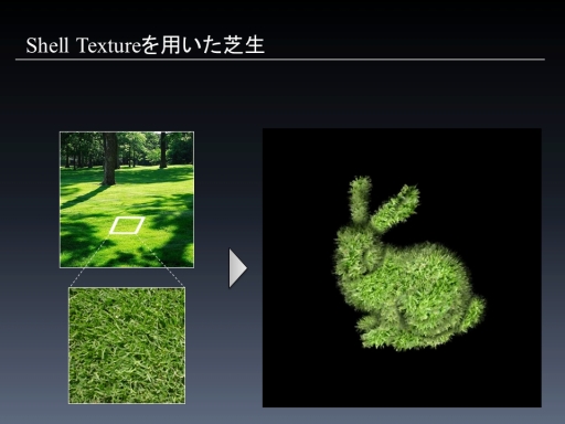画像ギャラリー No.017のサムネイル画像 / ［CEDEC 2012］毛皮表現用プロシージャルテクスチャ生成技法はモフモフウサギの夢を見るか？　「実写画像を用いたShell Texture自動生成手法」