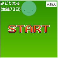 画像ギャラリー No.006のサムネイル画像 / ゲーム開発コンテスト第2回「9leap」前期審査結果が発表。優秀賞は5作品