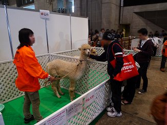 画像ギャラリー No.031のサムネイル画像 / 【超会議2】老若男女問わず文化祭気分で楽しめる，ニコニコ超会議2の企画ブースをフォトレポート