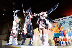 画像ギャラリー No.206のサムネイル画像 / ［TGS 2013］約200名ものコスプレイヤーがパフォーマンスを披露した「Cosplay Collection Night」をフォトレポート
