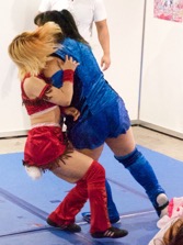 画像ギャラリー No.011のサムネイル画像 / 4Gamer×DDTプロレス＠東京ゲームショウ2015は，全試合を終了いたしました