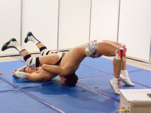画像ギャラリー No.027のサムネイル画像 / 4Gamer×DDTプロレス＠東京ゲームショウ2015は，全試合を終了いたしました