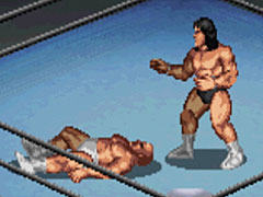 もしも，プロレスゲームの実況を本職の人が手がけてみたら……？　そんな企画を今夜の「真夜中のニャーゴ」で行います