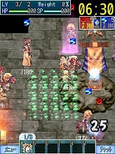 画像ギャラリー No.009のサムネイル画像 / ベストプラットフォームは携帯電話へ？「RO ファン感謝祭 2009」で，ガンホー/エイタロウソフトにオンラインゲームの可能性を聞く