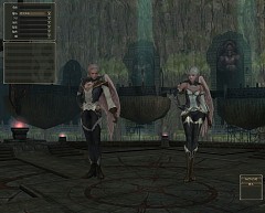 画像ギャラリー No.033のサムネイル画像 / MMORPG「リネージュII」が7日間無料で遊べる，新規会員向けの無料プレイシリアルナンバーを，応募者全員にプレゼント！