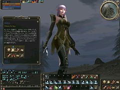 画像ギャラリー No.036のサムネイル画像 / MMORPG「リネージュII」が7日間無料で遊べる，新規会員向けの無料プレイシリアルナンバーを，応募者全員にプレゼント！