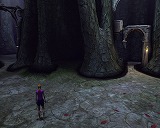 ミスト ウル:コンプリート クロニクル 日本語版