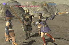 画像ギャラリー No.002のサムネイル画像 / 第8回 ヴァナ・ディール国勢調査，「FFXI」公式サイトで公開
