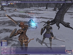 画像ギャラリー No.002のサムネイル画像 / 【FFXIレポート09】“フィールド・オブ・ヴァラー”により充実した低〜中レベルキャラクターの育成環境を紹介