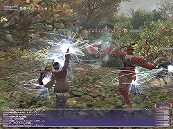 画像ギャラリー No.008のサムネイル画像 / 【FFXIレポート09】“フィールド・オブ・ヴァラー”により充実した低〜中レベルキャラクターの育成環境を紹介