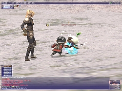 画像ギャラリー No.017のサムネイル画像 / 【FFXIレポート09】“フィールド・オブ・ヴァラー”により充実した低〜中レベルキャラクターの育成環境を紹介