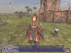画像ギャラリー No.005のサムネイル画像 / 【FFXIレポート10】これでもう迷わない！「FFXI」バトルコンテンツガイド2009春＜前編＞