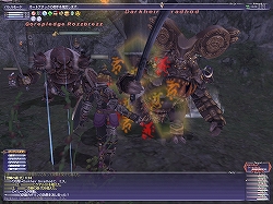 画像ギャラリー No.009のサムネイル画像 / 【FFXIレポート10】これでもう迷わない！「FFXI」バトルコンテンツガイド2009春＜前編＞