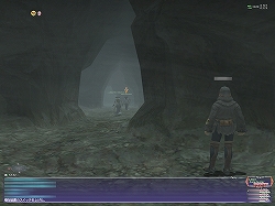 画像ギャラリー No.011のサムネイル画像 / 【FFXIレポート10】これでもう迷わない！「FFXI」バトルコンテンツガイド2009春＜前編＞