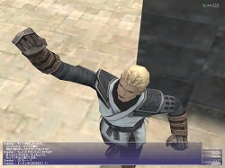 画像ギャラリー No.015のサムネイル画像 / 【FFXIレポート10】これでもう迷わない！「FFXI」バトルコンテンツガイド2009春＜前編＞