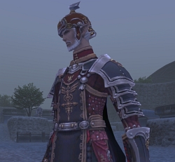 画像ギャラリー No.013のサムネイル画像 / 「FFXI」大規模アップデートを本日実施。追加シナリオ第2弾「戦慄！モグ祭りの夜」の解禁，過去世界の北国エリア実装に注目
