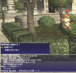 画像ギャラリー No.002のサムネイル画像 / 「FFXI」大規模アップデートが本日実施。レベルキャップが85に開放，新アドオン“アビセアの死闘”のプレイ解禁など，主な見どころを紹介