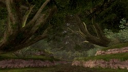 画像ギャラリー No.022のサムネイル画像 / 「ファイナルファンタジーXI」の拡張ディスク第5弾「アドゥリンの魔境」発表。新ジョブ「風水士」が公開に