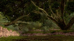 画像ギャラリー No.028のサムネイル画像 / 「ファイナルファンタジーXI」の拡張ディスク第5弾「アドゥリンの魔境」発表。新ジョブ「風水士」が公開に