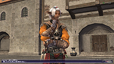 画像ギャラリー No.019のサムネイル画像 / 「FFXI アドゥリンの魔境」，開拓活動の支援組織や戦闘システムなど，詳細が明らかになってきた新ジョブ“以外”の情報を一挙公開