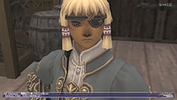 画像ギャラリー No.072のサムネイル画像 / 「FFXI アドゥリンの魔境」，開拓活動の支援組織や戦闘システムなど，詳細が明らかになってきた新ジョブ“以外”の情報を一挙公開