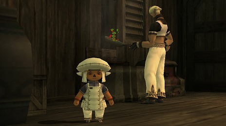 画像ギャラリー No.003のサムネイル画像 / 「ファイナルファンタジーXI」“エミネンス・レコード”における新要素「デイリー目標」の詳細が公開