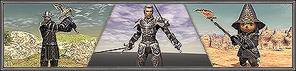 画像ギャラリー No.014のサムネイル画像 / 「ファイナルファンタジーXI」，マンドラゴラ族にスイカ模様の新種が登場。ジョブ調整は赤魔道士とからくり士