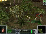 「PLATOON」（プラトーン）日本語版