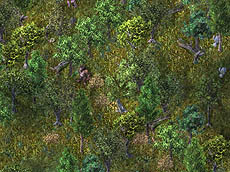 画像ギャラリー No.001のサムネイル画像 / 「UO」ゲーム内に鬼が出現する「節分でオニ退治！？」イベント実施