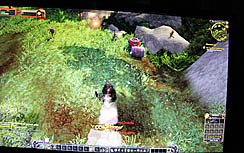 画像ギャラリー No.013のサムネイル画像 / ［G-Star 2011］「World of Warcraft: Mists of Pandaria」がプレイアブル出展。パンダ好きにはたまらない，パンダの国で冒険