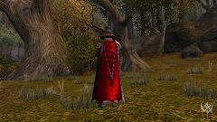 画像ギャラリー No.013のサムネイル画像 / 「Warhammer Online」初のイベント「魔女の夜」で仮面を手に入れよう