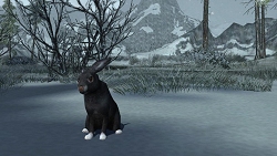 画像ギャラリー No.004のサムネイル画像 / 中つ国に釣りのシーズン到来 「LotRO」,大型アップデート第十三巻“最後の王の運命”が本日導入