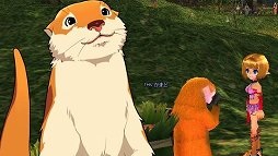 画像ギャラリー No.056のサムネイル画像 / 【PR】この夏「マビノギ」を始める人に贈るプレイガイド。独特のシステムも，ほんの少しのコツで面白さが倍増！　新規登録者にペットのプレゼントも