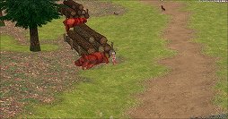 画像ギャラリー No.006のサムネイル画像 / 「マビノギ」,ペットハンドラーアップデートが7月22日に実施。ペットの獲得や強化に特化した新才能が登場