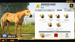 Rival Stars Horse Racing