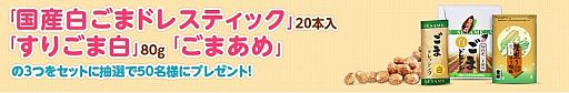 画像ギャラリー No.002のサムネイル画像 / 「ハッピーベジフル」,熊本県のうまかもん第5弾は釜屋「こだわりの白ゴマ」