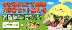 画像ギャラリー No.001のサムネイル画像 / 「ハッピーベジフル」,熊本県産野菜が50名に当たるキャンペーンを開始