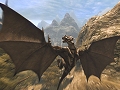 ［Gamescom］6年の歳月をかけて登場。ドラゴンに変身する主人公が火を吹きながら暴れまくるシングルRPG「Divinity 2」
